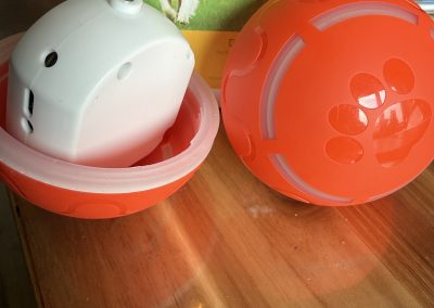 détaille de la balle rollio pour chien